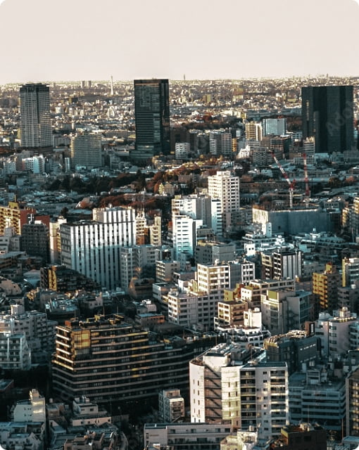 景色の写真